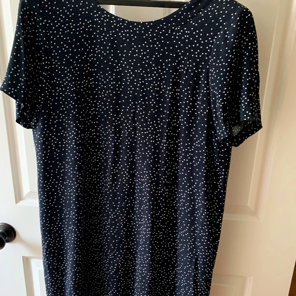 Madewell Zip Back Dress in Scattered Dot